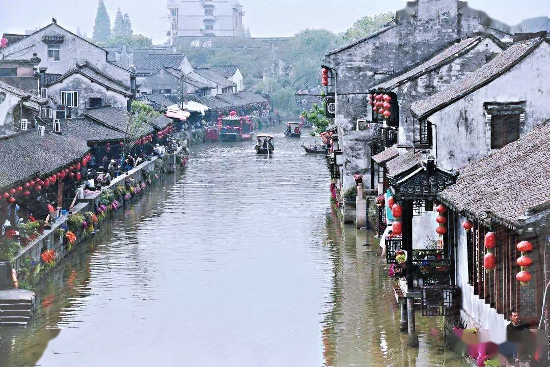 解答疑惑,愤怒的少年佩德罗1下载问答网站